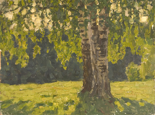 Old Birch by Nikita Fedosov