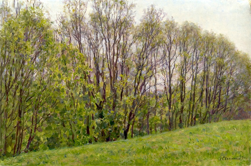 Day in May by Olga G. Svetlechnaya