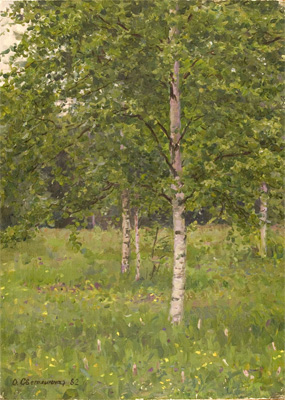Birches by Olga G. Svetlechnaya
