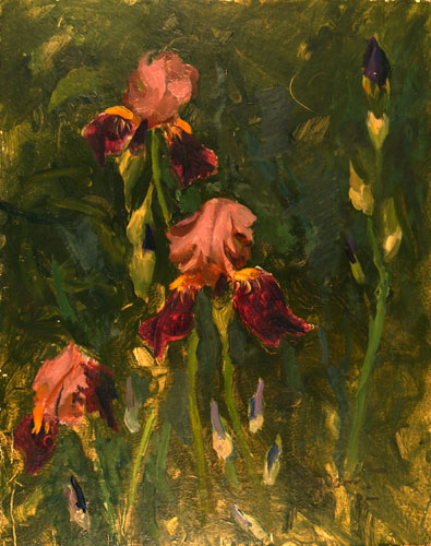 Irises by Pavel Sudakov