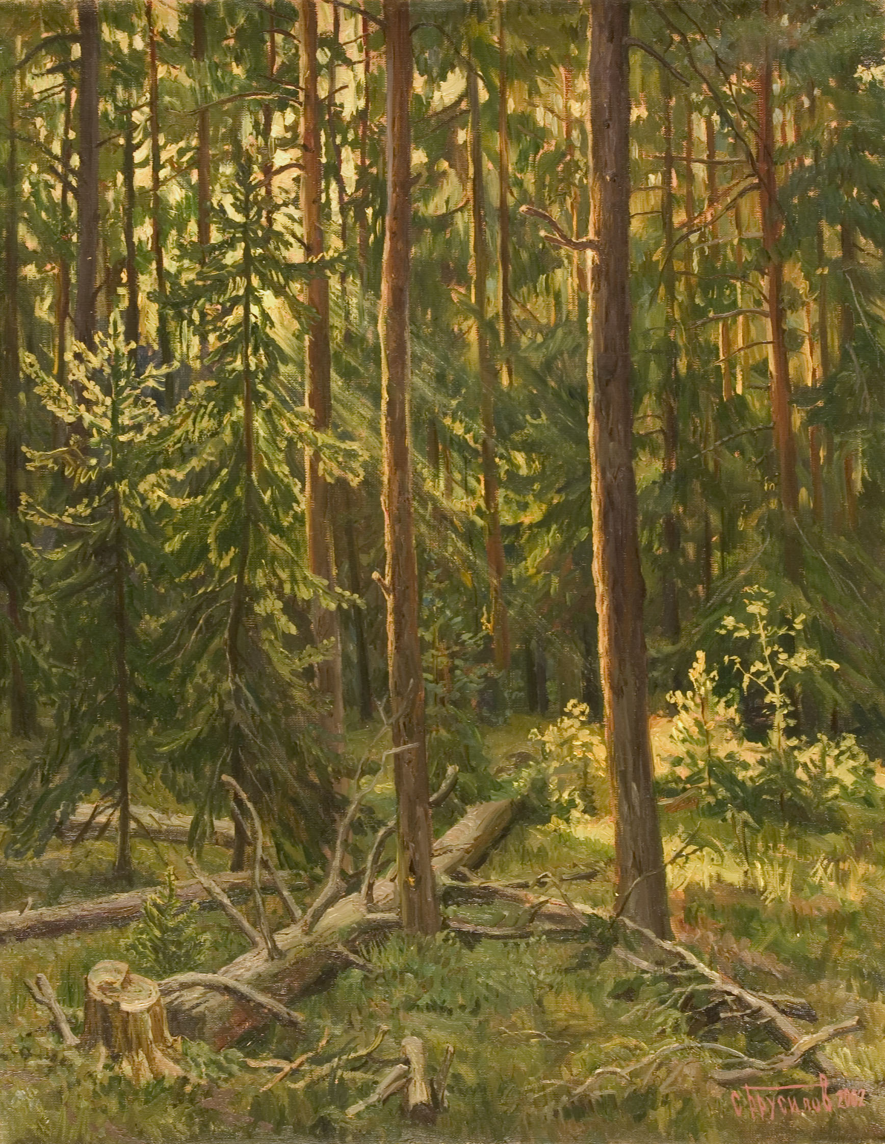 Morning in the Forest by Stanislav Brusilov