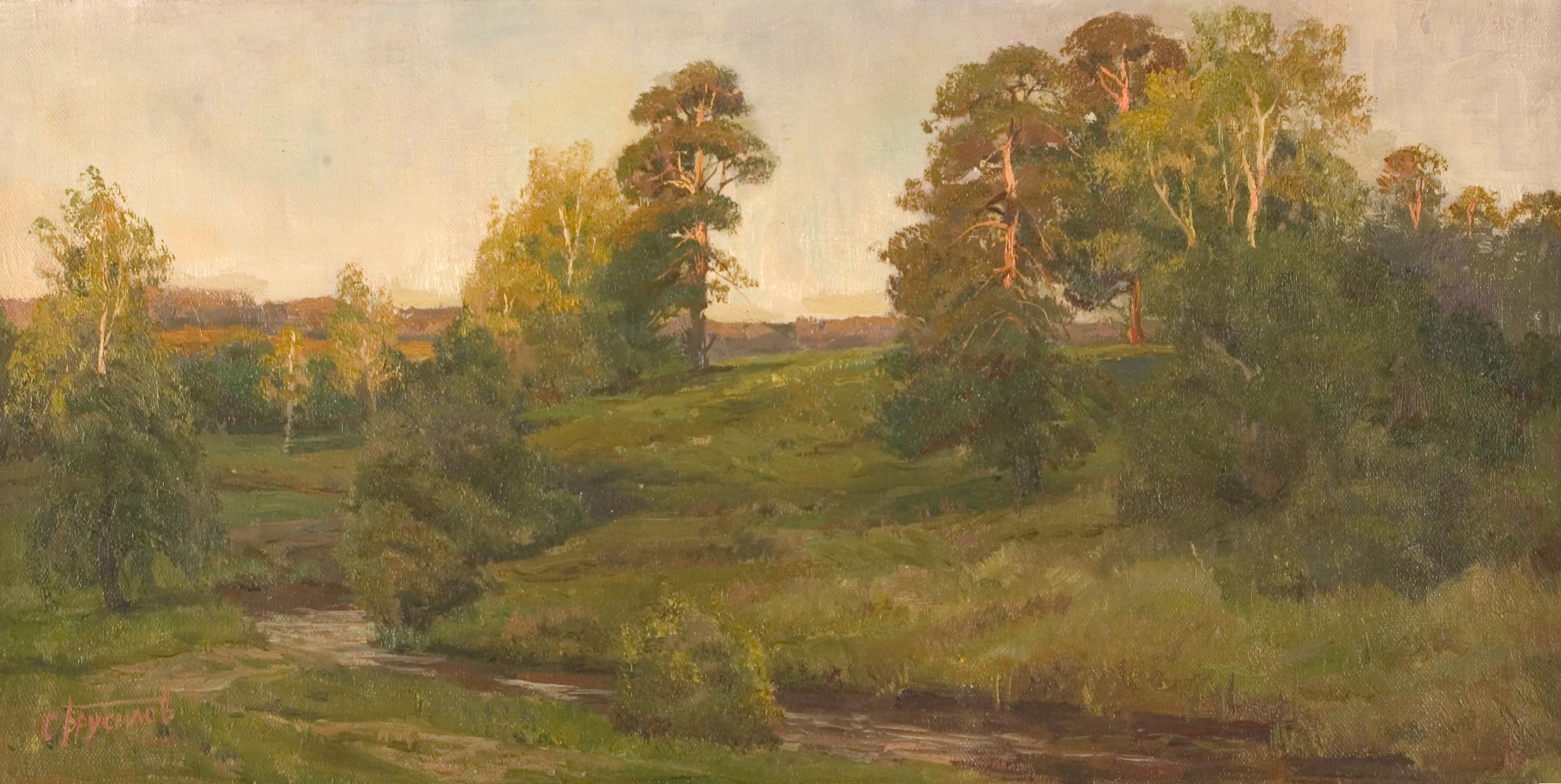 Old Pines — Stanislav Brusilov